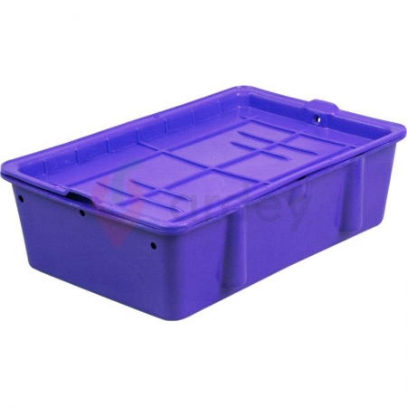 Ящик сырковотворожный,  в комплекте с крышкой, конусный, сплошной (502x332x150)