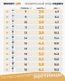 Лестница телескопическая WORKY 6,2 м 16 ступеней